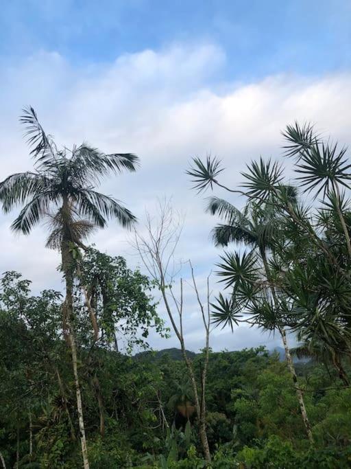 Casa Amarela Prumirim Ubatuba Dış mekan fotoğraf